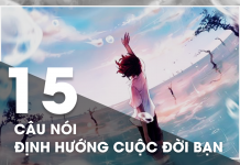 15 câu nói định hướng đời bạn