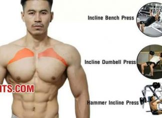 bài tập cơ ngực