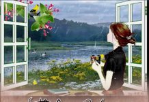 THÍCH và YÊU khác nhau như thế nào