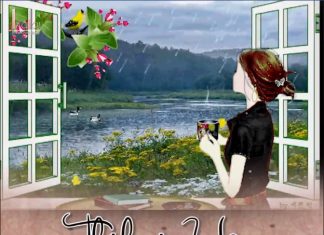 THÍCH và YÊU khác nhau như thế nào