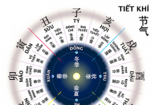 Can – Chi  trong tử vi