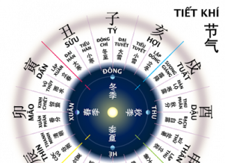 Can – Chi trong tử vi