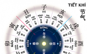 Can – Chi  trong tử vi