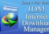 Internet Download Manager Full option