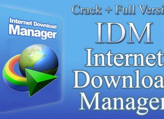 Internet Download Manager Full option