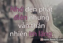 tản mạn chuyện yêu ngày lễ tình nhân