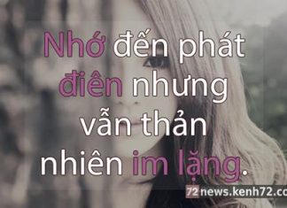 tản mạn chuyện yêu ngày lễ tình nhân