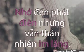 tản mạn chuyện yêu ngày lễ tình nhân