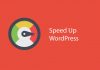 1 số xử lý tối ưu tốc độ WordPress