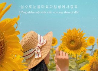 “Con thi đại học xong sẽ ly hôn”, tôi tưởng đây chỉ là lời vợ nói lúc tức giận, ngờ đâu cô ấy đã chuẩn bị 10 năm!