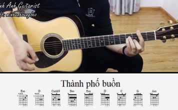 Thành phố buồn – Intro + 1 số kĩ thuật đệm hát