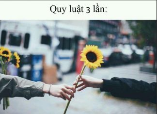 Quy luật 3 lần: TỬ TẾ LÀ TỬ TẾ MÀ NGỐC NGHẾCH LÀ NGỐC NGHẾCH