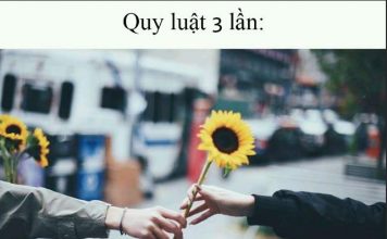 Quy luật 3 lần: TỬ TẾ LÀ TỬ TẾ MÀ NGỐC NGHẾCH LÀ NGỐC NGHẾCH